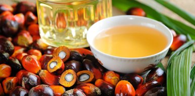 ¿Qué es el aceite de palma y para qué se utiliza? - Hostelería Madrid