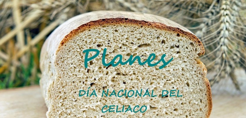 Planes para el Día Nacional del Celiaco - Hostelería Madrid