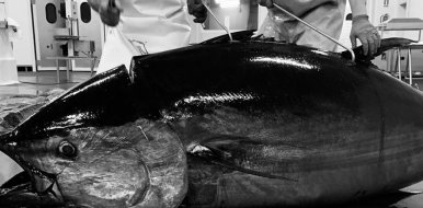 Herpac, la mojama de atún más famosa del mundo - Hostelería Madrid