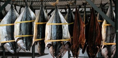¿Cuál es el mejor atún para consumir? - Hostelería Madrid