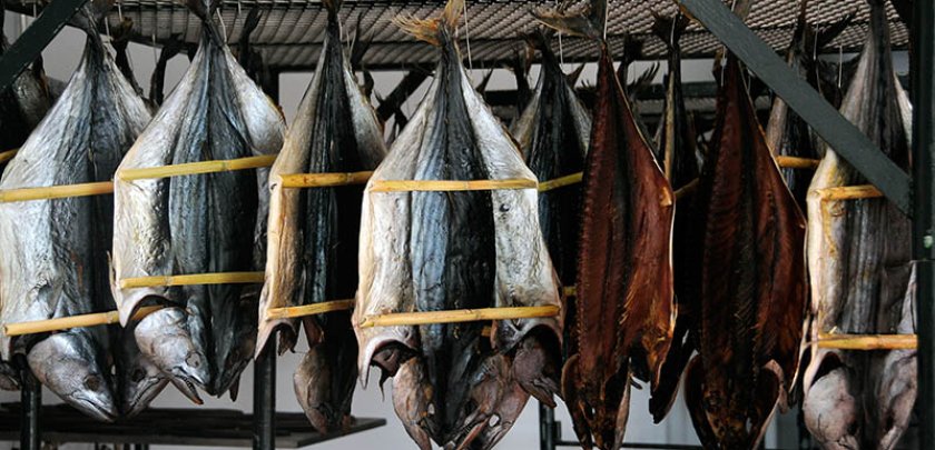 ¿Cuál es el mejor atún para consumir? - Hostelería Madrid