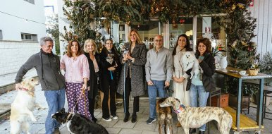 Pozuelo de Alarcón crea un distintivo pet-friendly para locales que admiten la entrada de mascotas - Hostelería Madrid