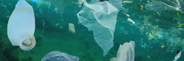 El cobro de los envases de plástico de un solo uso será obligatorio a partir del 1 de enero de 2023