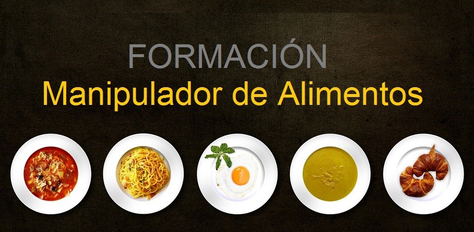 ¿Cuánto tiempo dura el certificado de Manipulador de Alimentos? - La Viña