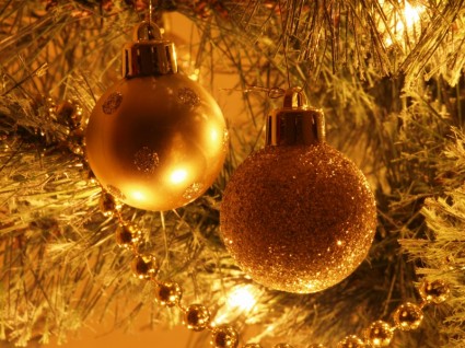 Promocione sus menús de Navidad o las fiestas de Nochevieja y Reyes gracias a Saborea Madrid - La Viña