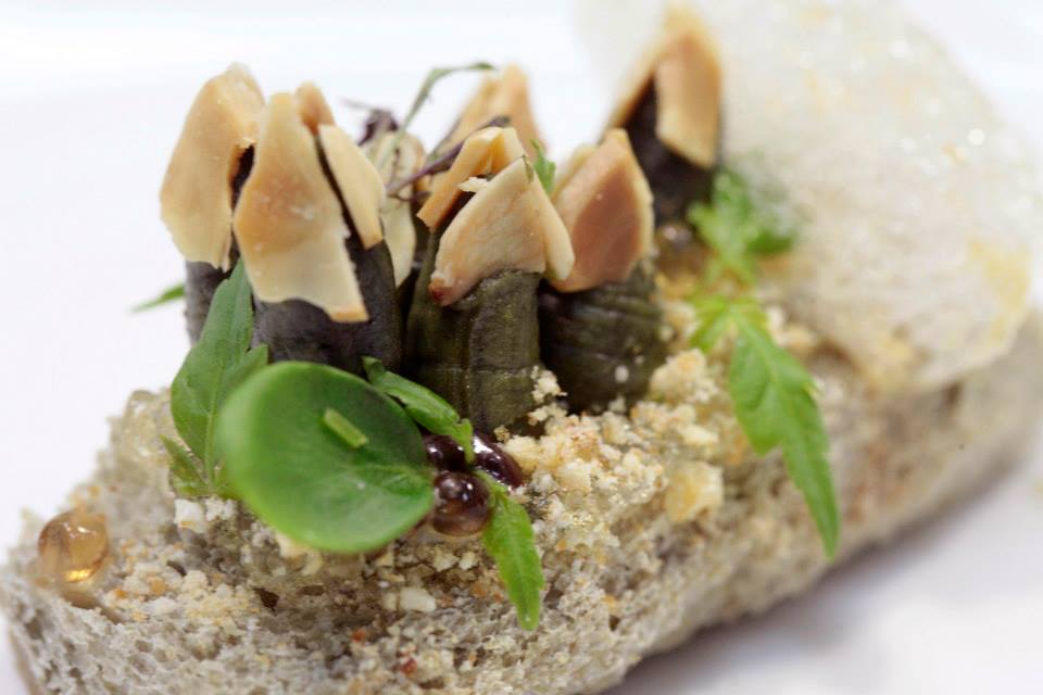 Apúntate al XI Concurso Nacional de Pinchos y Tapas - La Viña Apúntate al XI Concurso Nacional de Pinchos y Tapas - La Viña