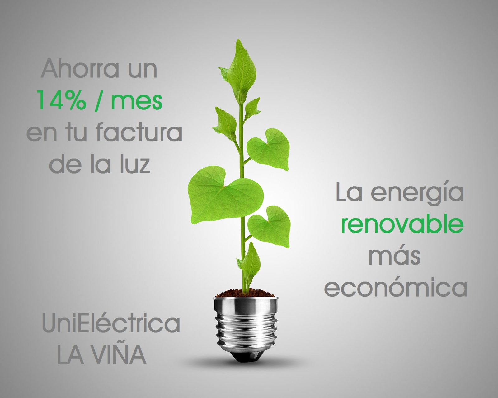 Ahorra un 14% en tu factura de la luz - La Viña Ahorra un 14% en tu factura de la luz - La Viña