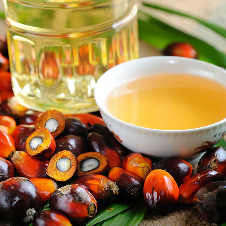 ¿Es tan malo el aceite de palma? AECOSAN nos lo aclara - Hostelería Madrid ¿Es tan malo el aceite de palma? AECOSAN nos lo aclara - Hostelería Madrid