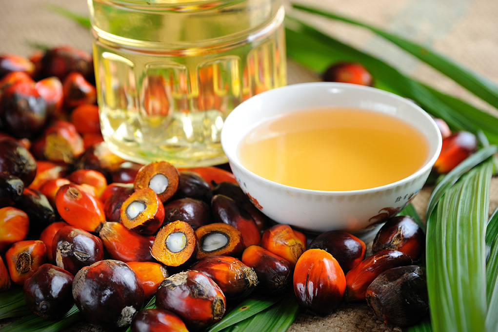 ¿Qué es el aceite de palma y para qué se utiliza? - La Viña