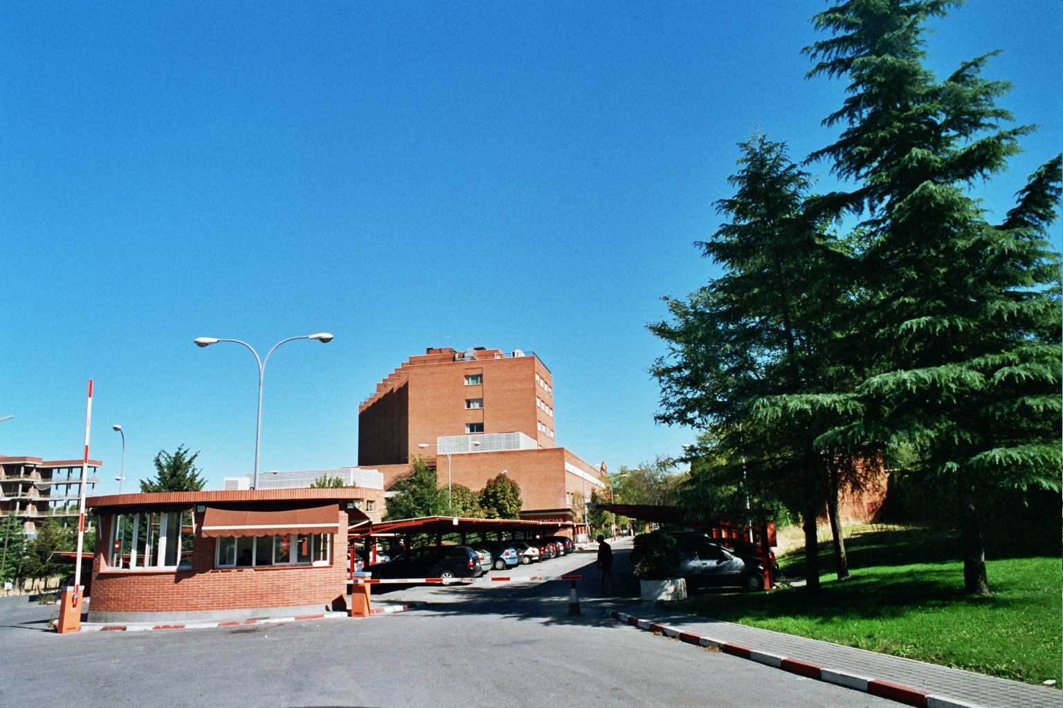 Los periodos de aislamiento preventivo de los trabajadores a causa del coronavirus se tratarán como una IT - La Viña Los periodos de aislamiento preventivo de los trabajadores a causa del coronavirus se tratarán como una IT - La Viña