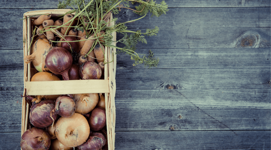 Tres start-up alimenticias que apuestan por la sostenibilidad a través de la tecnología - La Viña