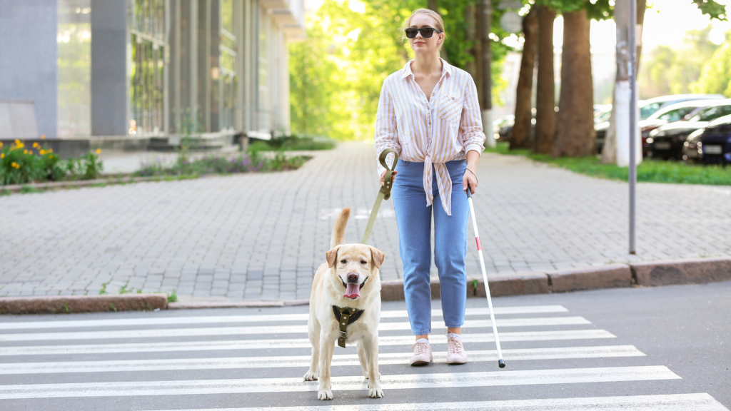 Persona discapacidad visual perro guía ONCE