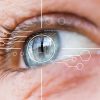 Mejora la web de tu restaurante con el eye tracking - Hostelería Madrid