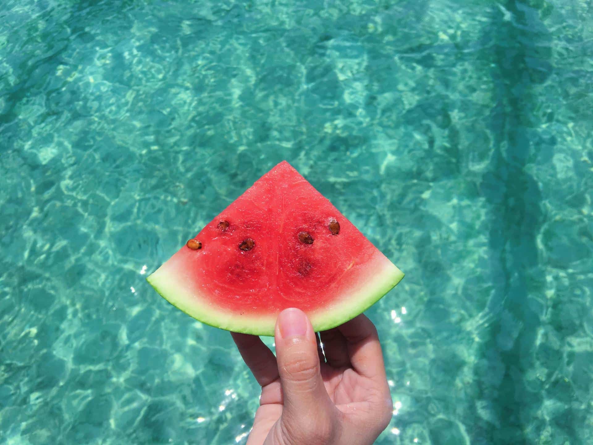 Alimentos de temporada en verano: cuáles son, principales ventajas y dos recetas para tu restaurante - La Viña