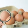¡Preserva la seguridad de tus alimentos ante las altas temperaturas! - Hostelería Madrid