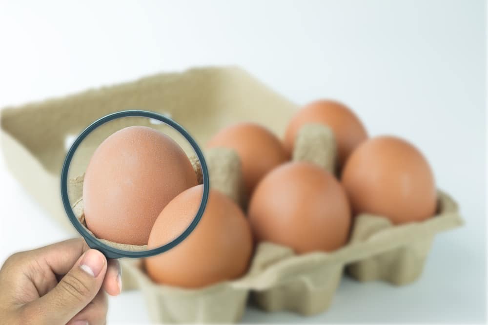 ¡Preserva la seguridad de tus alimentos ante las altas temperaturas! - La Viña