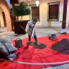 Pinto abrirá un espacio gastronómico dedicado al chocolate - Hostelería Madrid