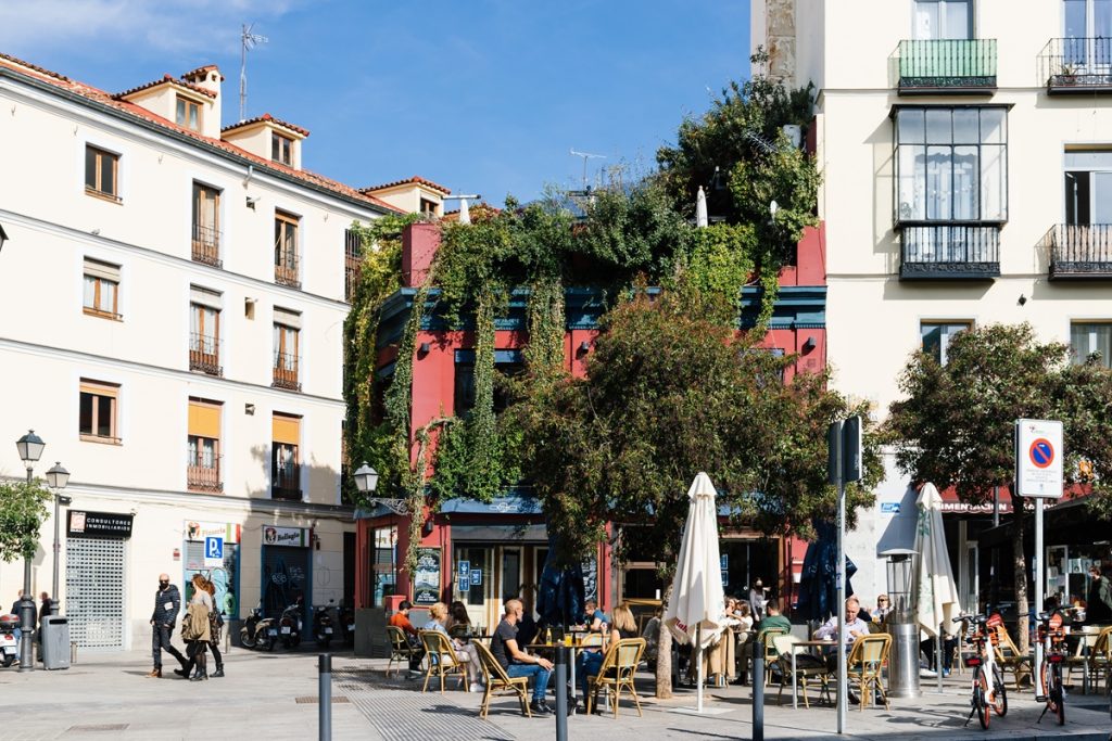 Informe anual de la campaña de verano