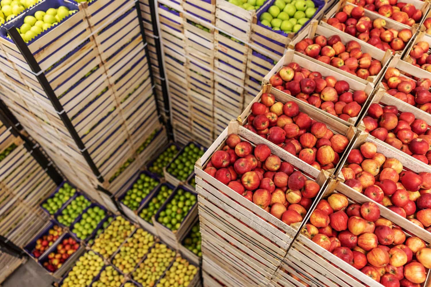 Mercados en Madrid para obtener productos frescos para tu restaurante - La Viña