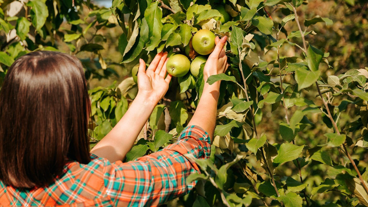 Del origen del producto al compromiso sostenible - La Viña
