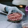 La Comunidad de Madrid estudia nuevas fórmulas para hacer más saludables los productos cárnicos - Hostelería Madrid