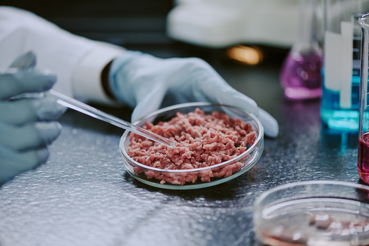 La Comunidad de Madrid estudia nuevas fórmulas para hacer más saludables los productos cárnicos - La Viña