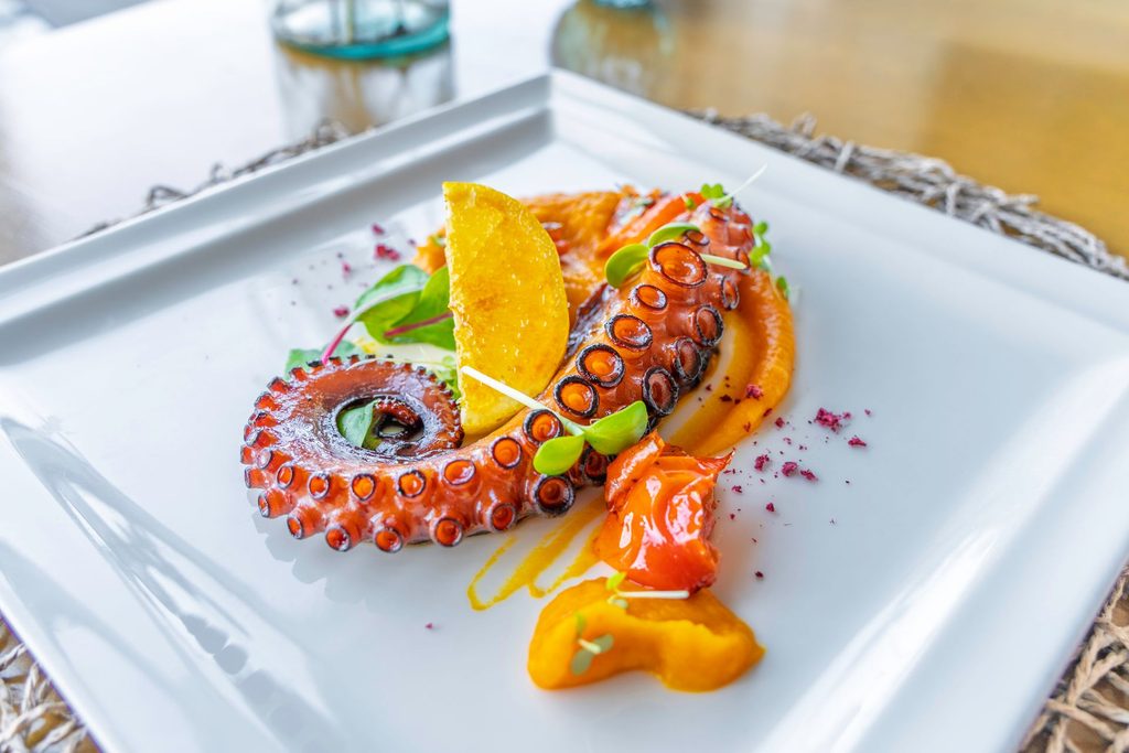 menús ramificados pulpo
